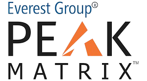 Everst Group Peak Matrix