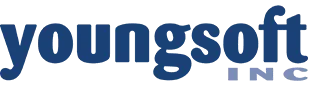 Youngsoft. Next-Gen, Delivered.